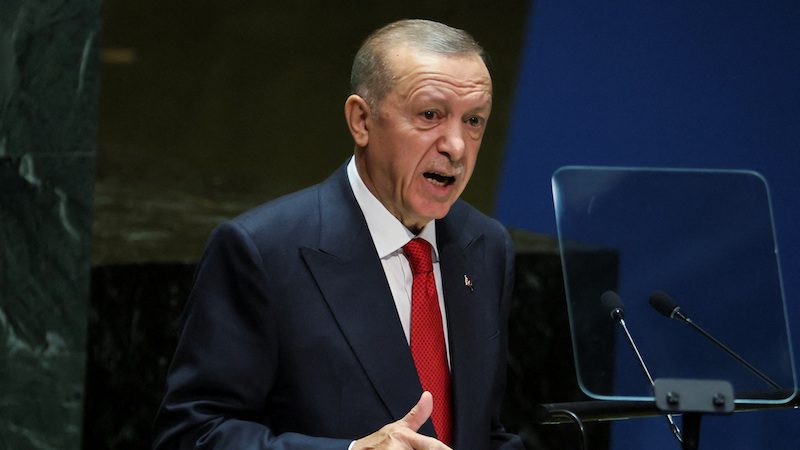 The UAE, Qatar, Saudi Arabia and Iraq are all "very, very determined" on the $17bn project said Turkey's President Erdoğan