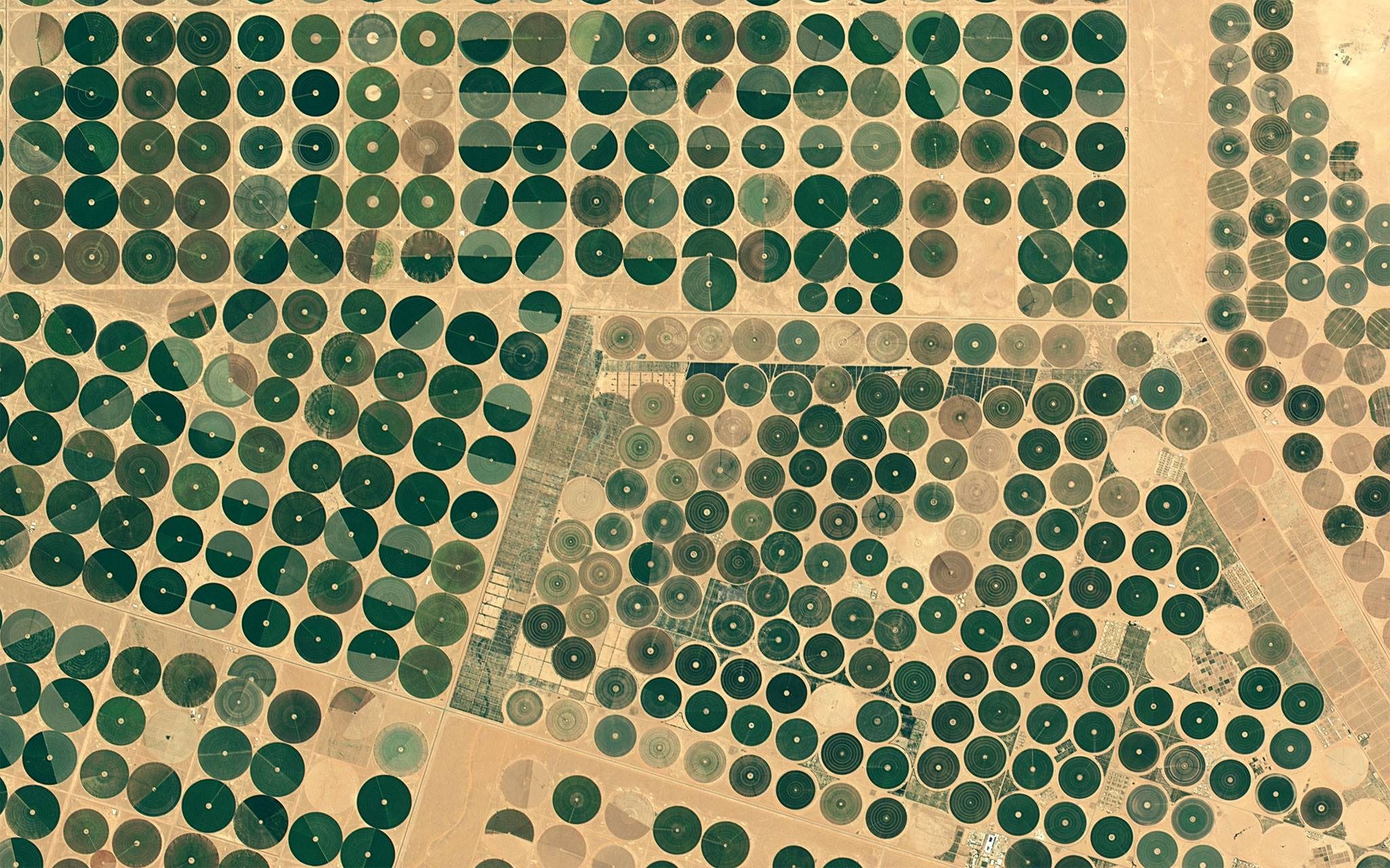 Saudi wheat circles