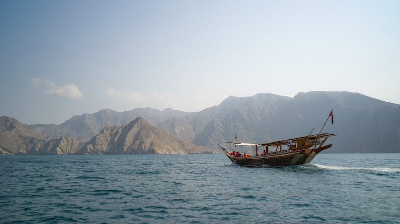 Oman's foreign exchange reserves will rise modestly this year as debt repayments continue