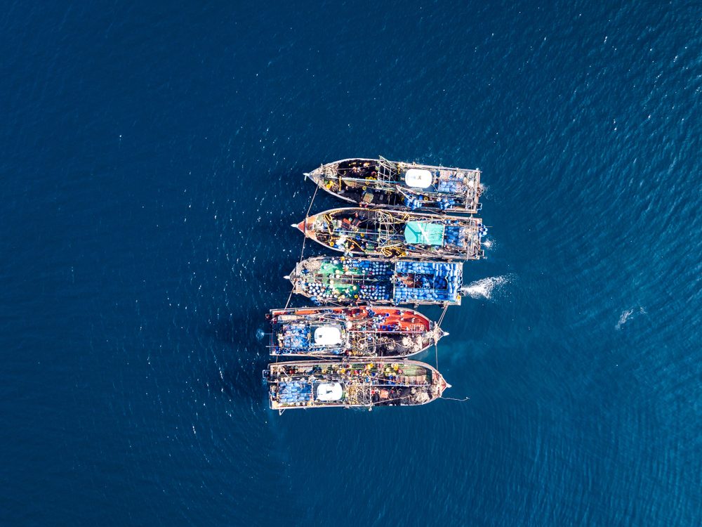 Illegal fishing boats can be detected by satellite