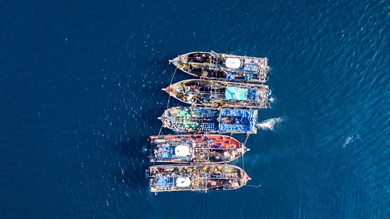 Illegal fishing boats can be detected by satellite