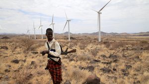 Gulf investment in Africa includes renewable energy such as wind farms