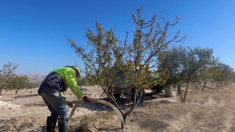 Drought in Tunisia is a hurdle recognised by the World Bank