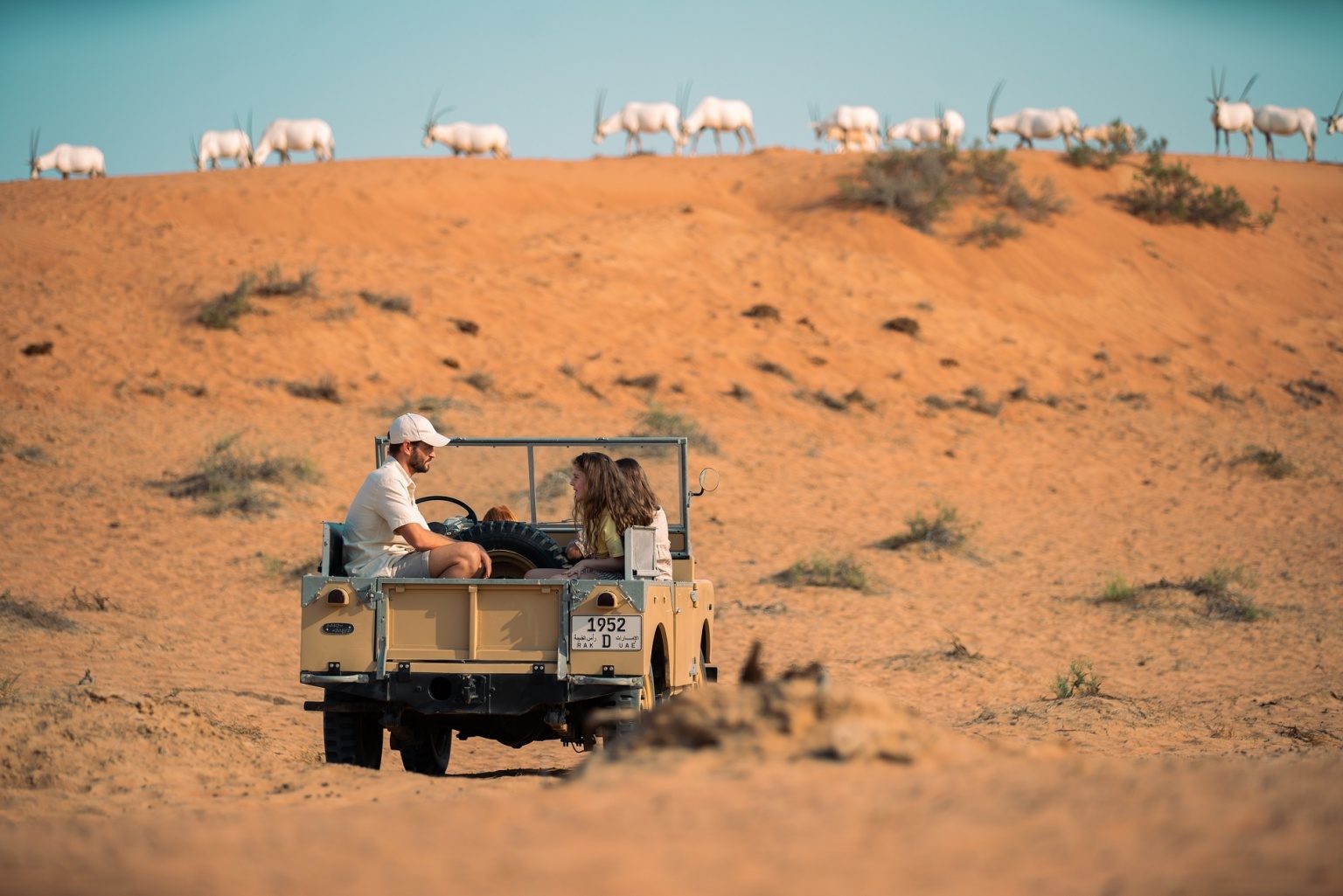 Tourists in the Al Wadi desert. Tourism and renewables will remain 'major diversification engines' in the GCC economies