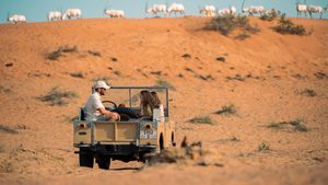 Tourists in the Al Wadi desert. Tourism and renewables will remain 'major diversification engines' in the GCC economies