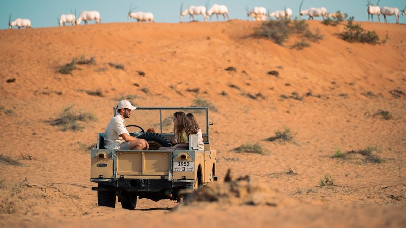 Tourists in the Al Wadi desert. Tourism and renewables will remain 'major diversification engines' in the GCC economies