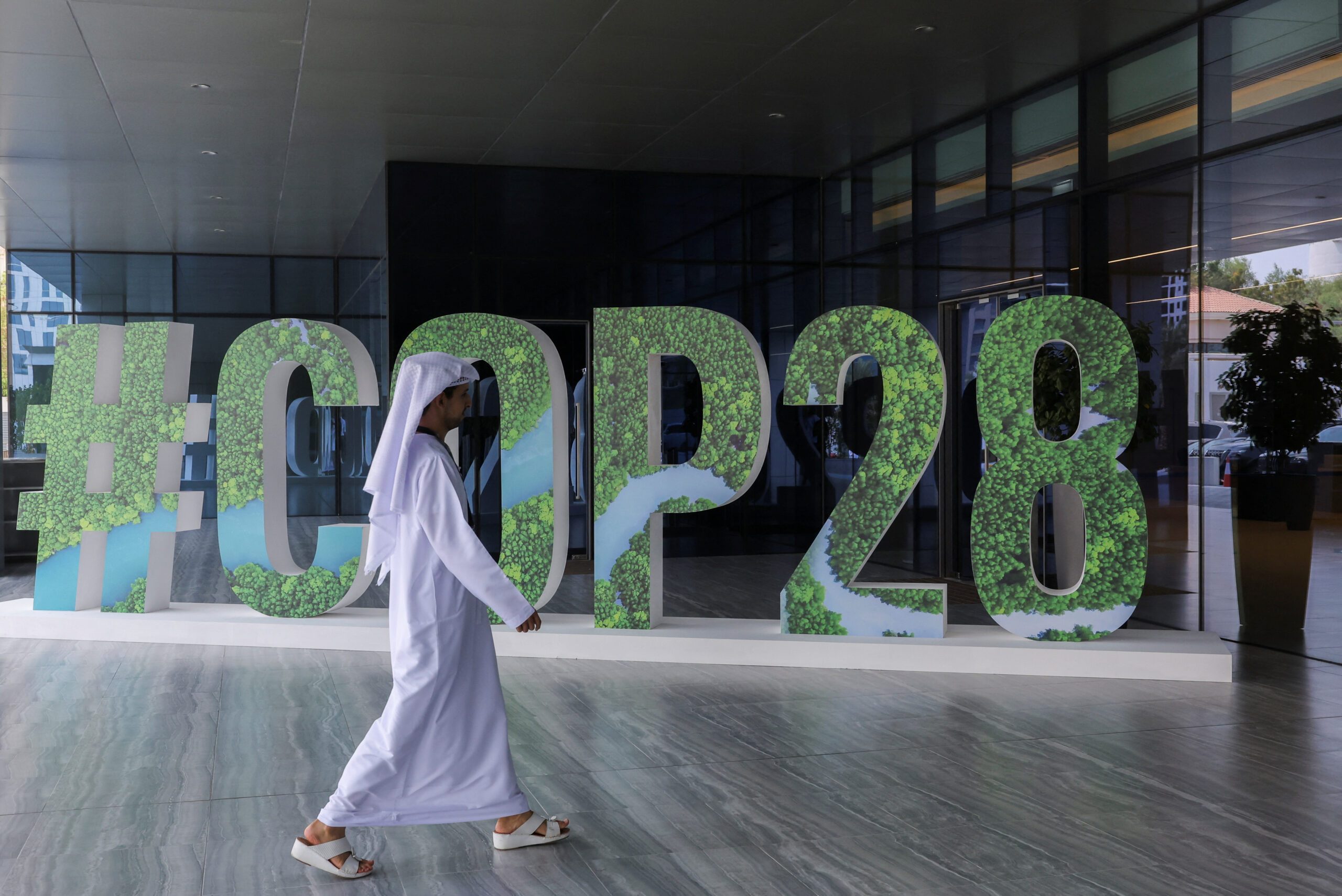 UAE Cop29