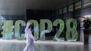Cop28 Dubai