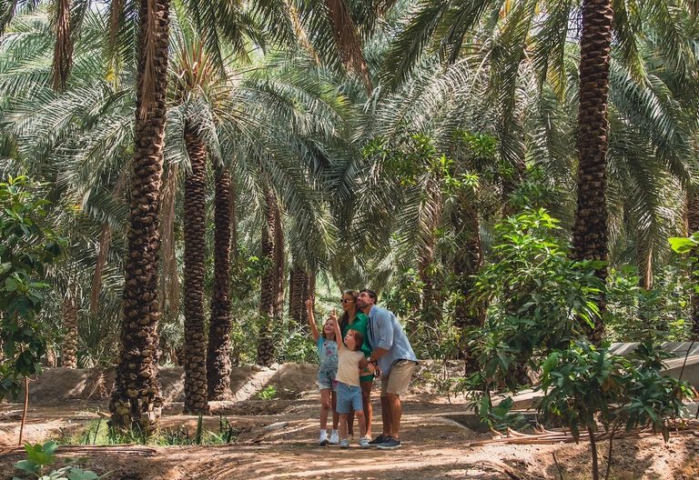A family visits a date farm in RAK. Tourism is a 'major economic driver,' says Ramy Jallad