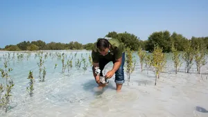 UAE mangrove project Abu Dhabi