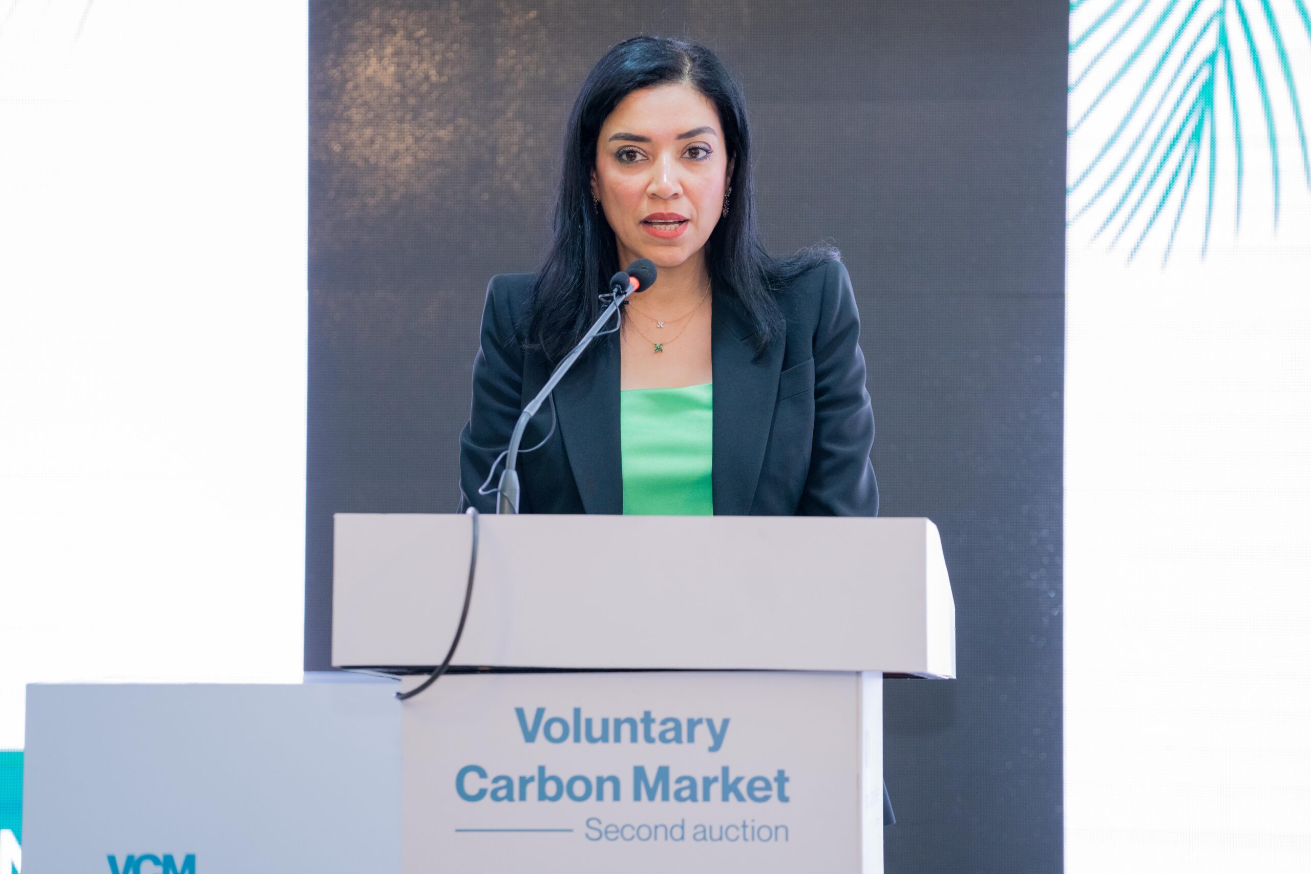 Riham ElGizy, CEO of Saudi carbon credit company RVCMC