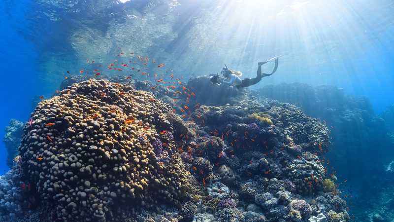 The King Abdullah University report says Saudi Arabia's coastal areas will be most at risk and suggests a range of approaches to mitigate this
