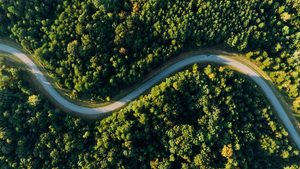 Carbon credits may yet provide an effective way to help the environment - but some problems need to be solved first