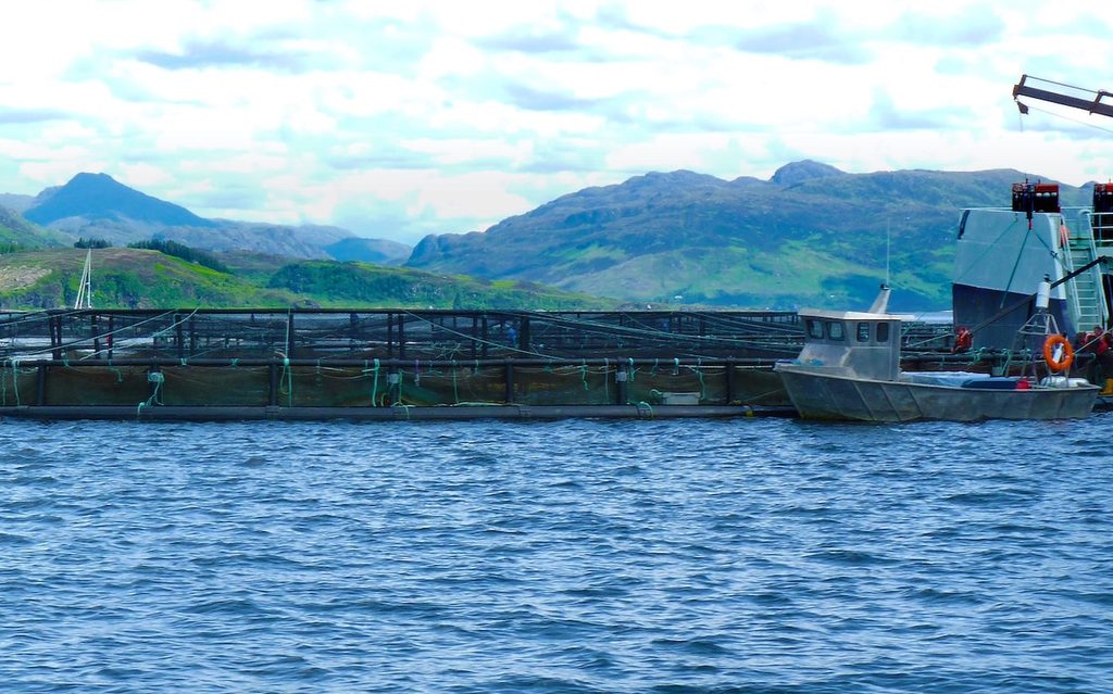 A salmon farm in the Isle of Skye