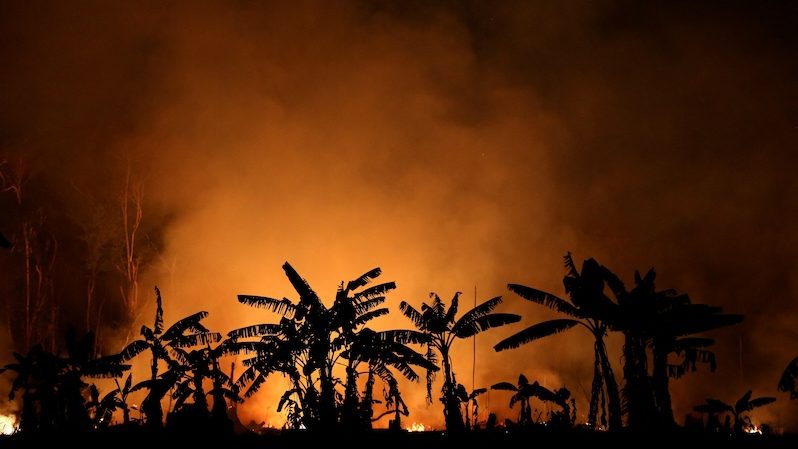 Fire, Forest Fire, Outdoors