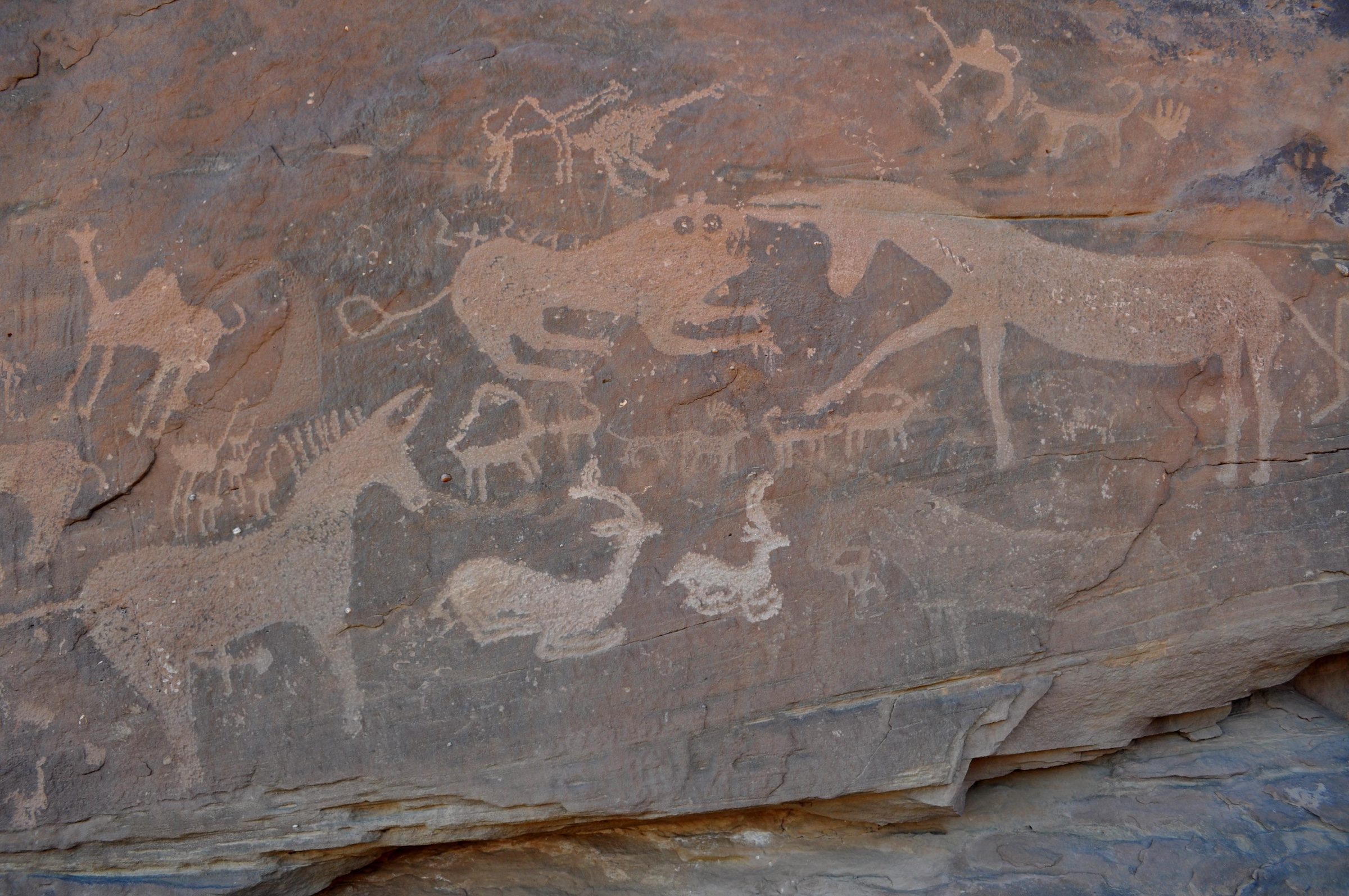 Rock art of Saudi Arabia