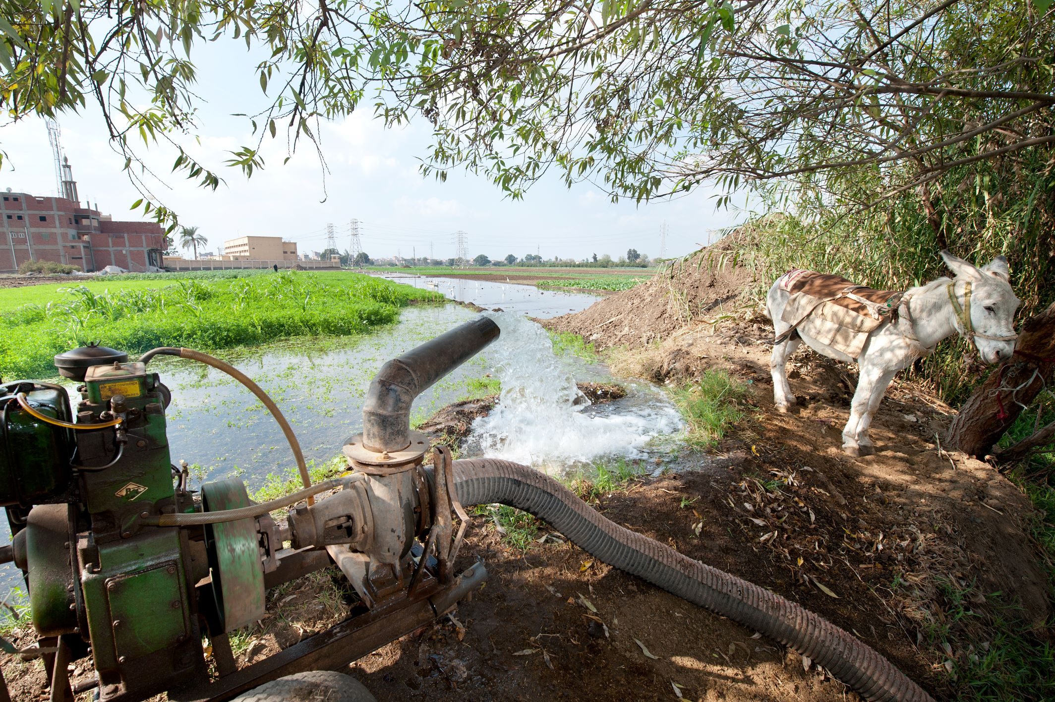 IWMI water reuse - water tank