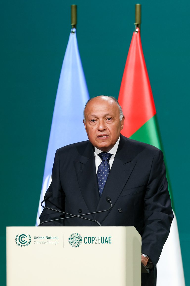 Crowd, Person, People Sameh Shoukry, president of Cop27, has officially handed over the reins to Al Jaber