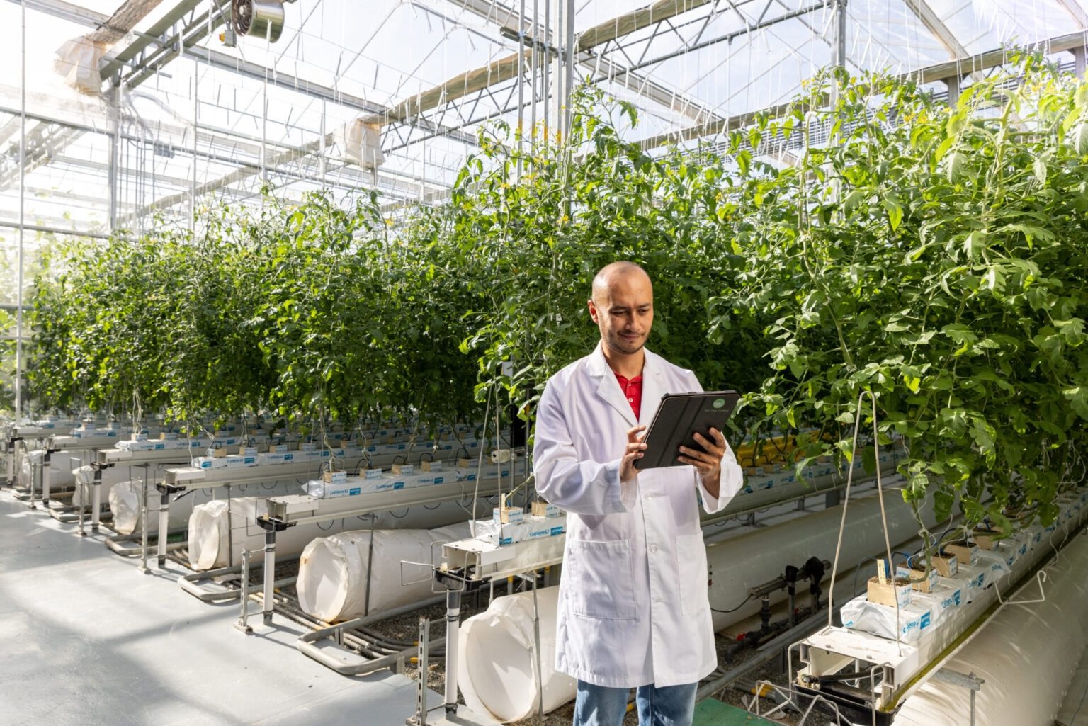 RedSea claim their heat-blocking roof technology can reduce energy usage and water use in irrigation