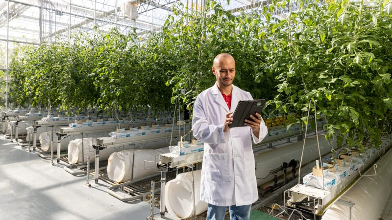 RedSea claim their heat-blocking roof technology can reduce energy usage and water use in irrigation