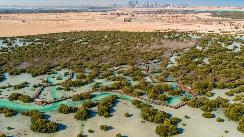 Abu Dhabi's Jubail Mangrove National Park features several kilometres of walkways