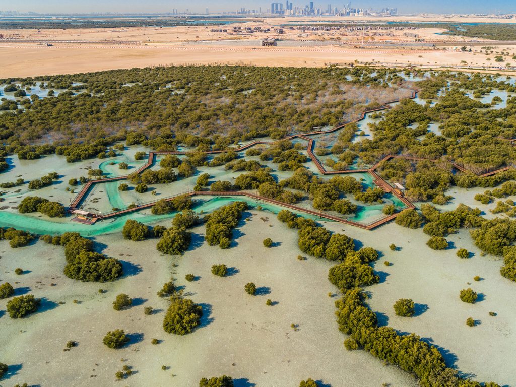 Abu Dhabi's Jubail Mangrove National Park features several kilometres of walkways
