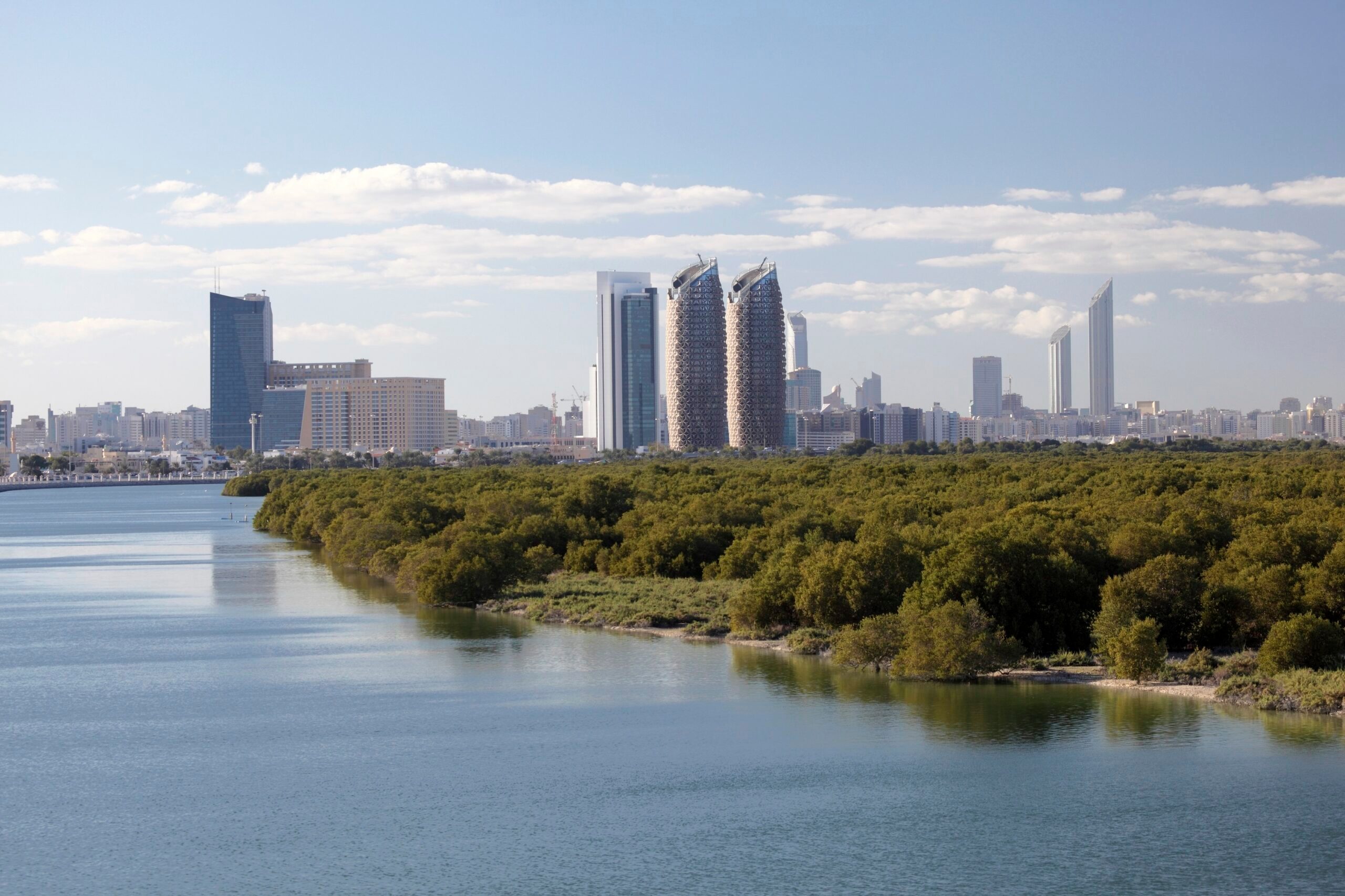 Mangrove forests stop erosion and protect the coast from storm surges