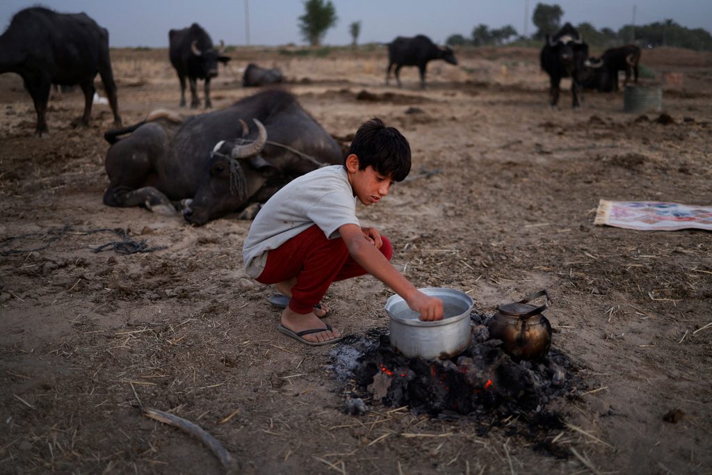 Water scarcity in Iraq is impacting on Mustafa Ahmed, 13, forcing his family to sell their buffalo