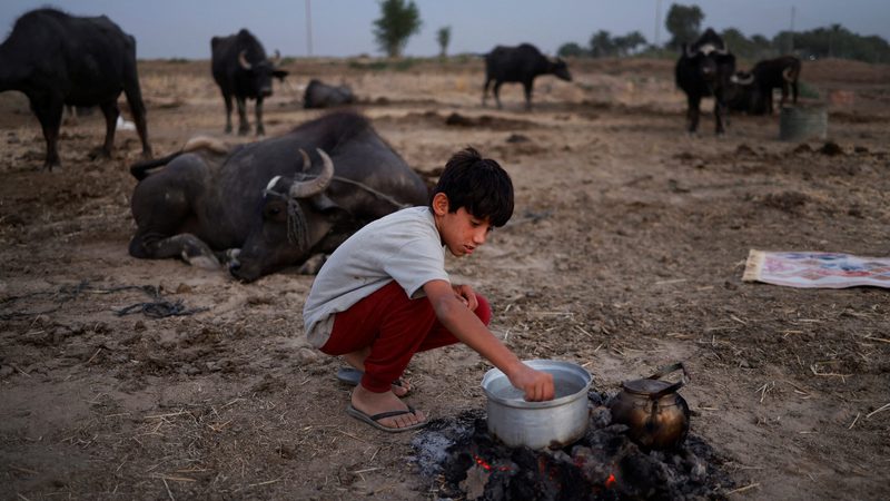 Water scarcity in Iraq is impacting on Mustafa Ahmed, 13, forcing his family to sell their buffalo