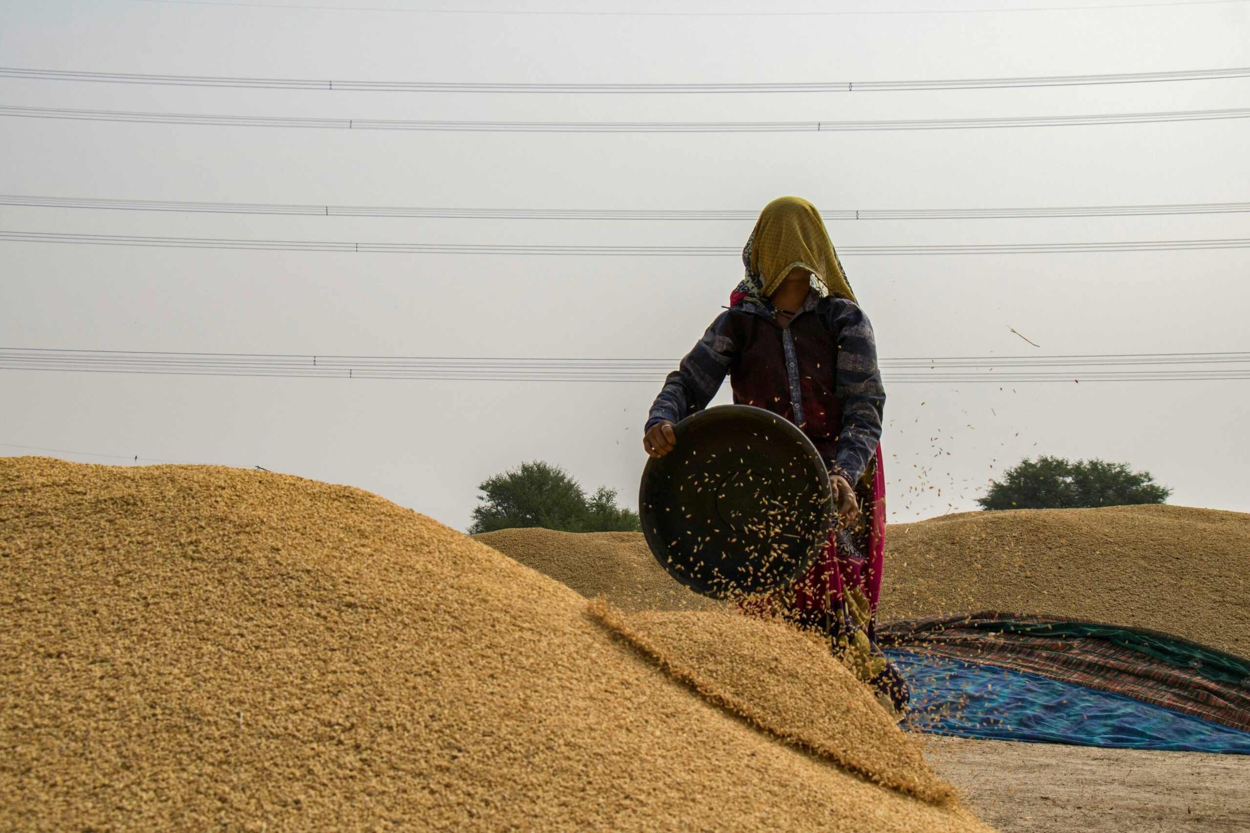 Around 76 million tonnes of grains, oilseeds and oilseed products are shipped annually from the EU, the Russian Federation and Ukraine to Asia and Eastern Africa