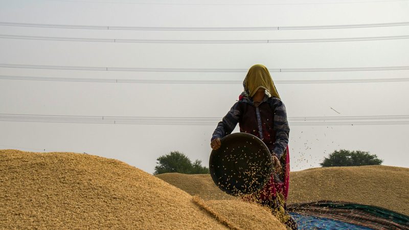 Around 76 million tonnes of grains, oilseeds and oilseed products are shipped annually from the EU, the Russian Federation and Ukraine to Asia and Eastern Africa