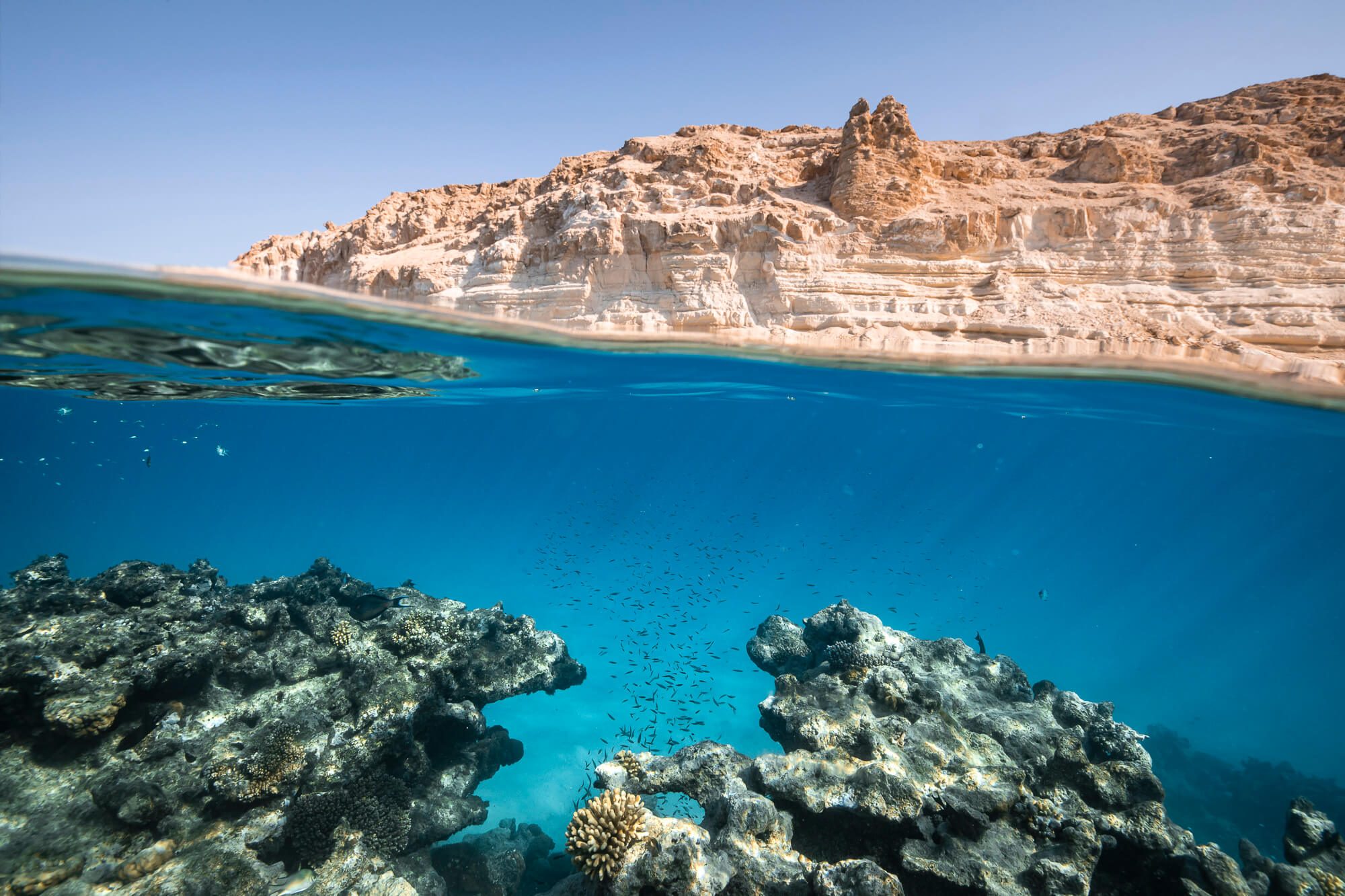 A coral reef off Yabou' Island, part of Neom. The project aims to use mostly recycled materials and send zero waste to landfill