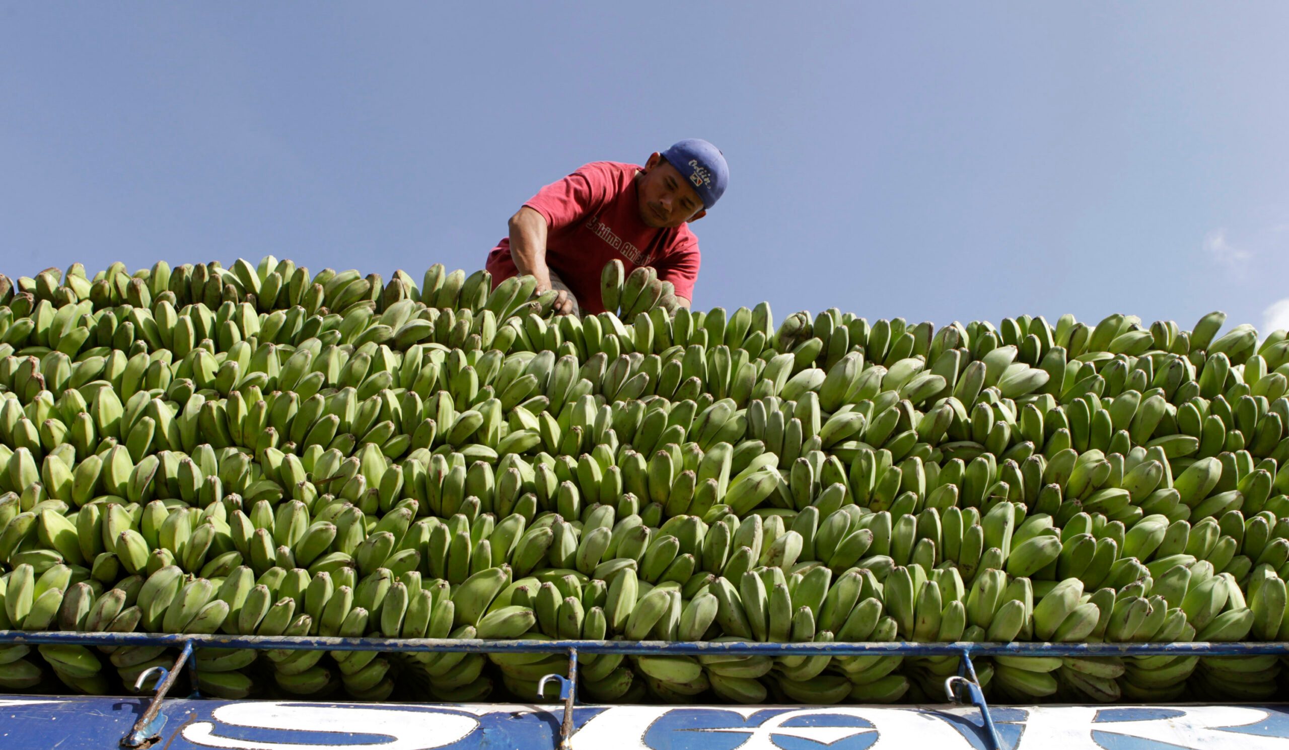 Abu Dhabi hopes the air corridor for perishable goods such as fresh fruit will improve the UAE's place in the global food supply chain