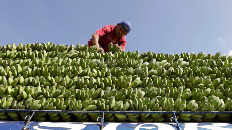 Abu Dhabi hopes the air corridor for perishable goods such as fresh fruit will improve the UAE's place in the global food supply chain