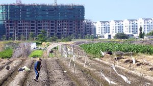 Construction in China. Fears about the country's real estate market are one reason Rajiv Jain's choice to move his stock-picking elsewhere may prove prescient