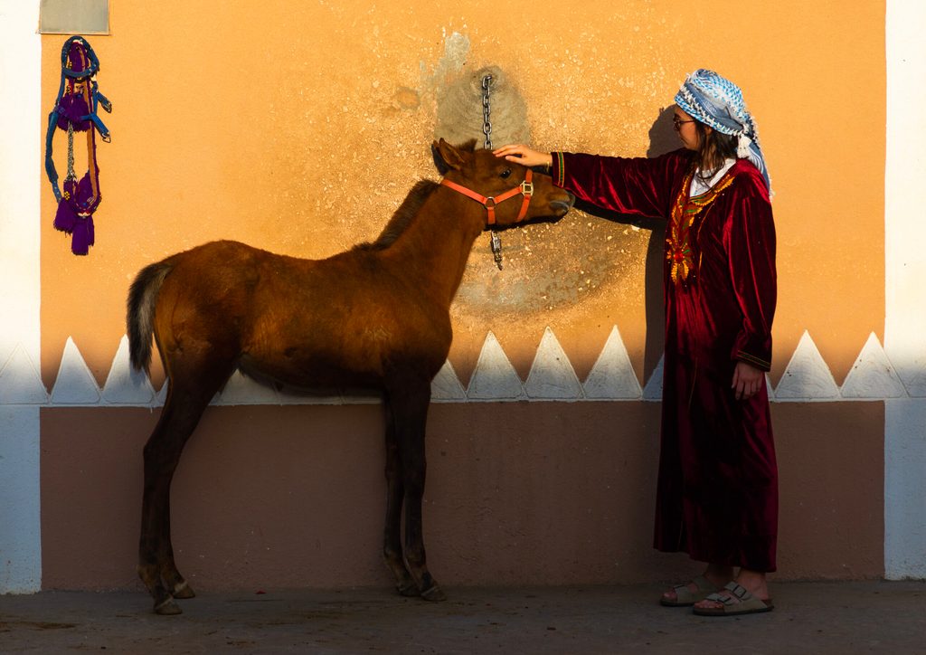 A tourist with an arabian foal at Alhazm stud, Khubash, Saudi Arabia. 106m tourists visited the kingdom last year