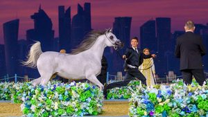 Contestants at the World Arabian Horse Championship