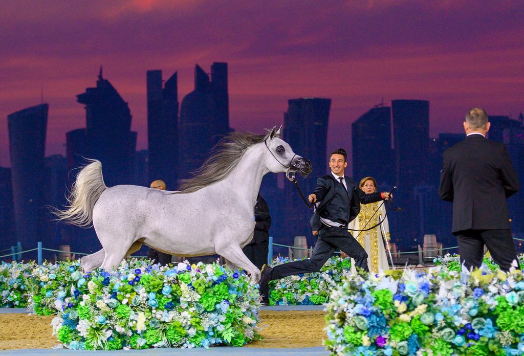 Contestants at the World Arabian Horse Championship