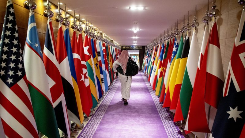 Saudi Arabia expansion companies flags