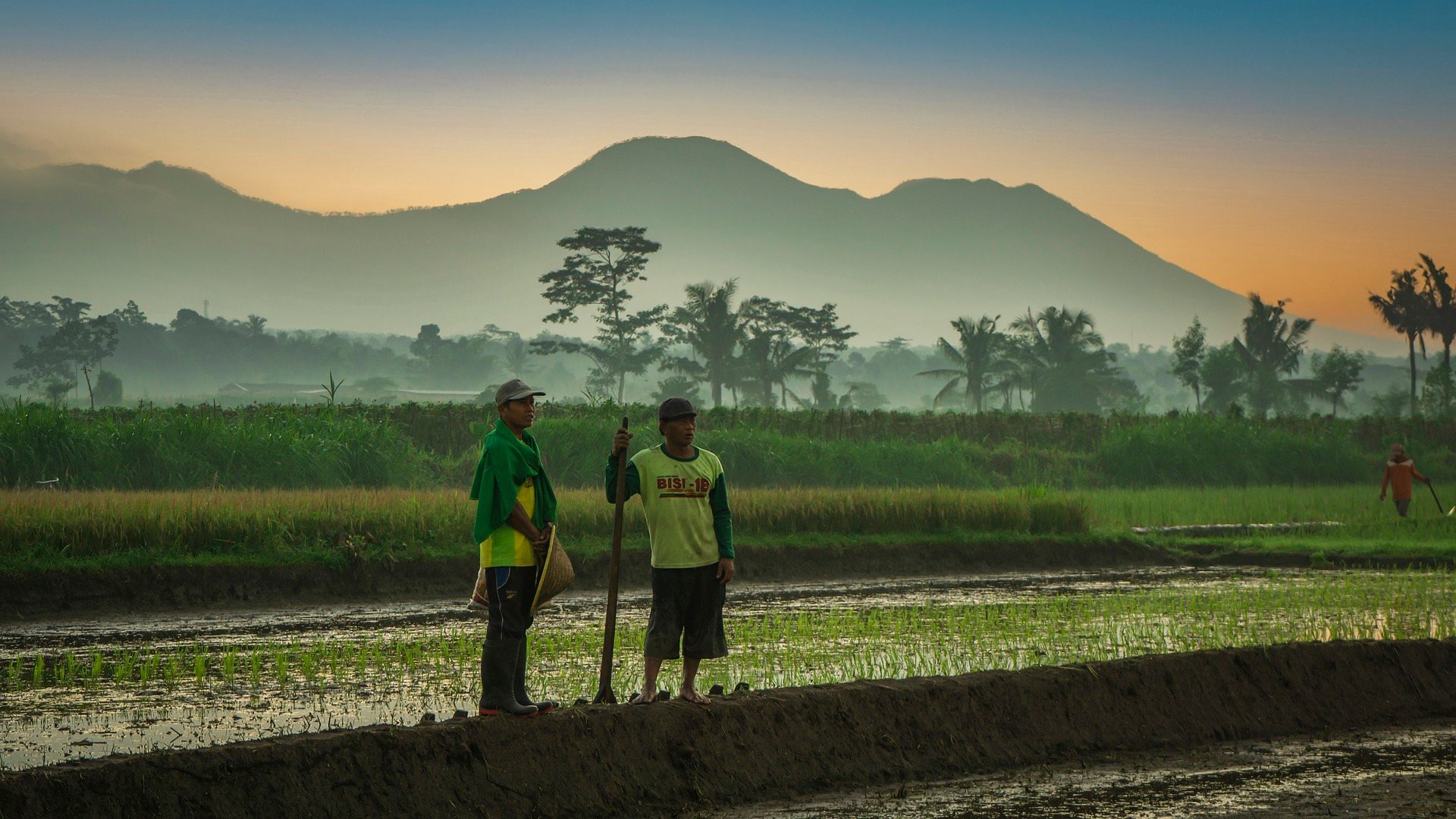 Abu Dhabi's Offset8 is investing in Indonesia to fund biochar, which is made from burning agricultural waste and used for carbon sequestration