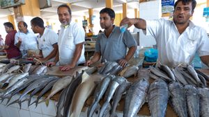 Sellers at the fish market in Jizan, Saudi Arabia. The kingdom brought in regulations in 2021 to curb overfishing