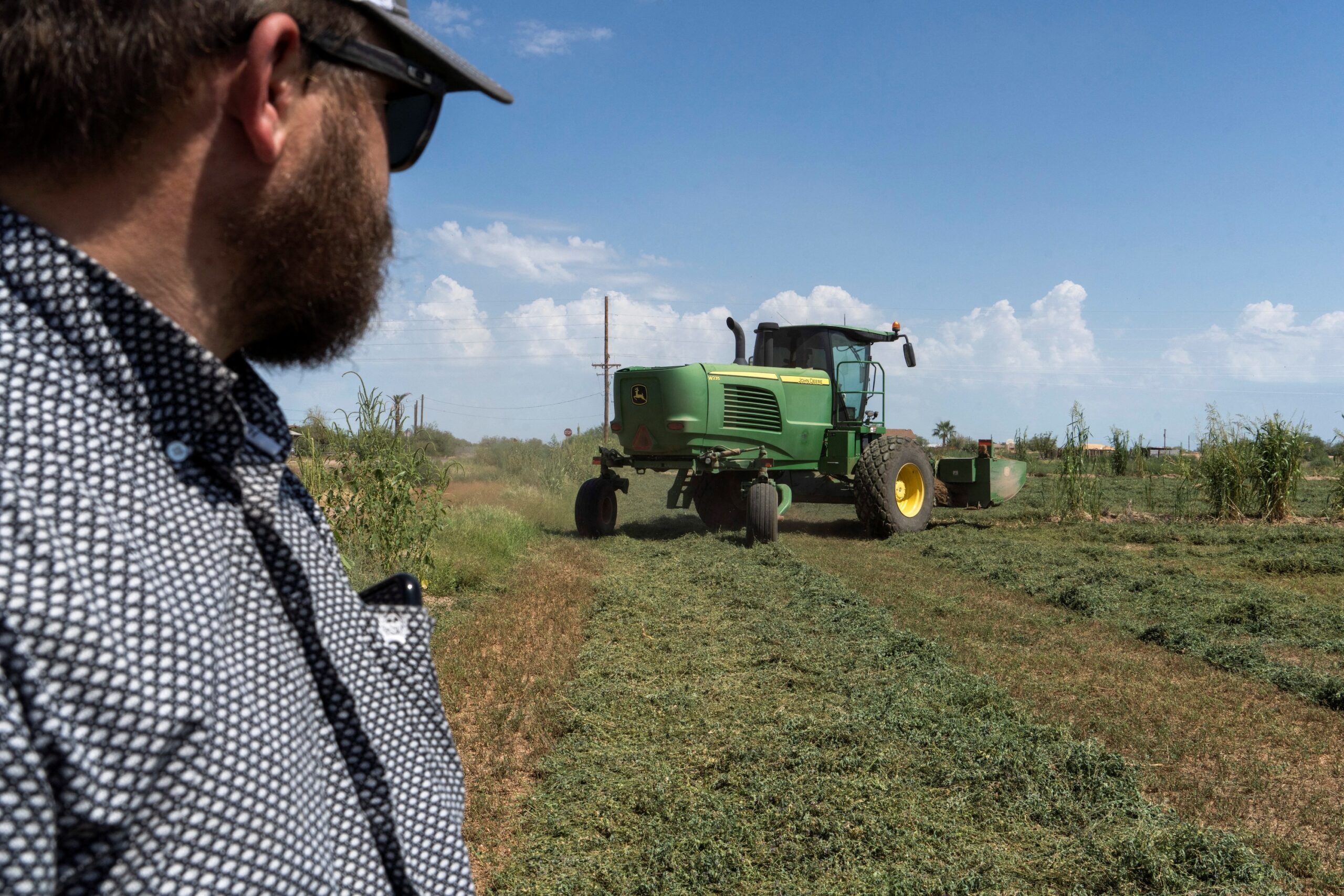 An alfalfa field in Arizona. Fondomonte used land in the state to grow the water-intensive crop for export to Saudi Arabia