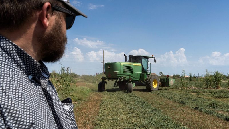 An alfalfa field in Arizona. Fondomonte used land in the state to grow the water-intensive crop for export to Saudi Arabia