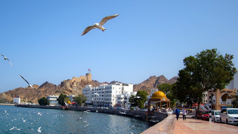 Muscat waterfront. Oman's budget surplus was down to an 'increase in government investments', said the state news agency