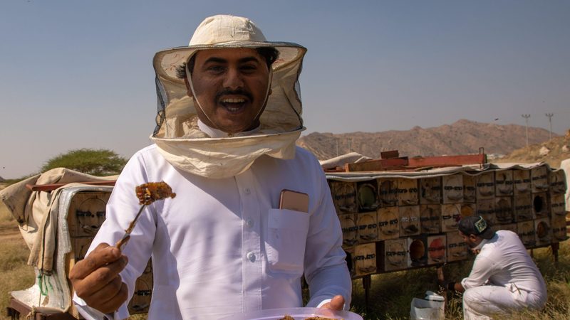 Beekeepers in Jizan province, Addarb, Saudi Arabia. The industry has set a production target of 7,500 tonnes of honey per year by 2026