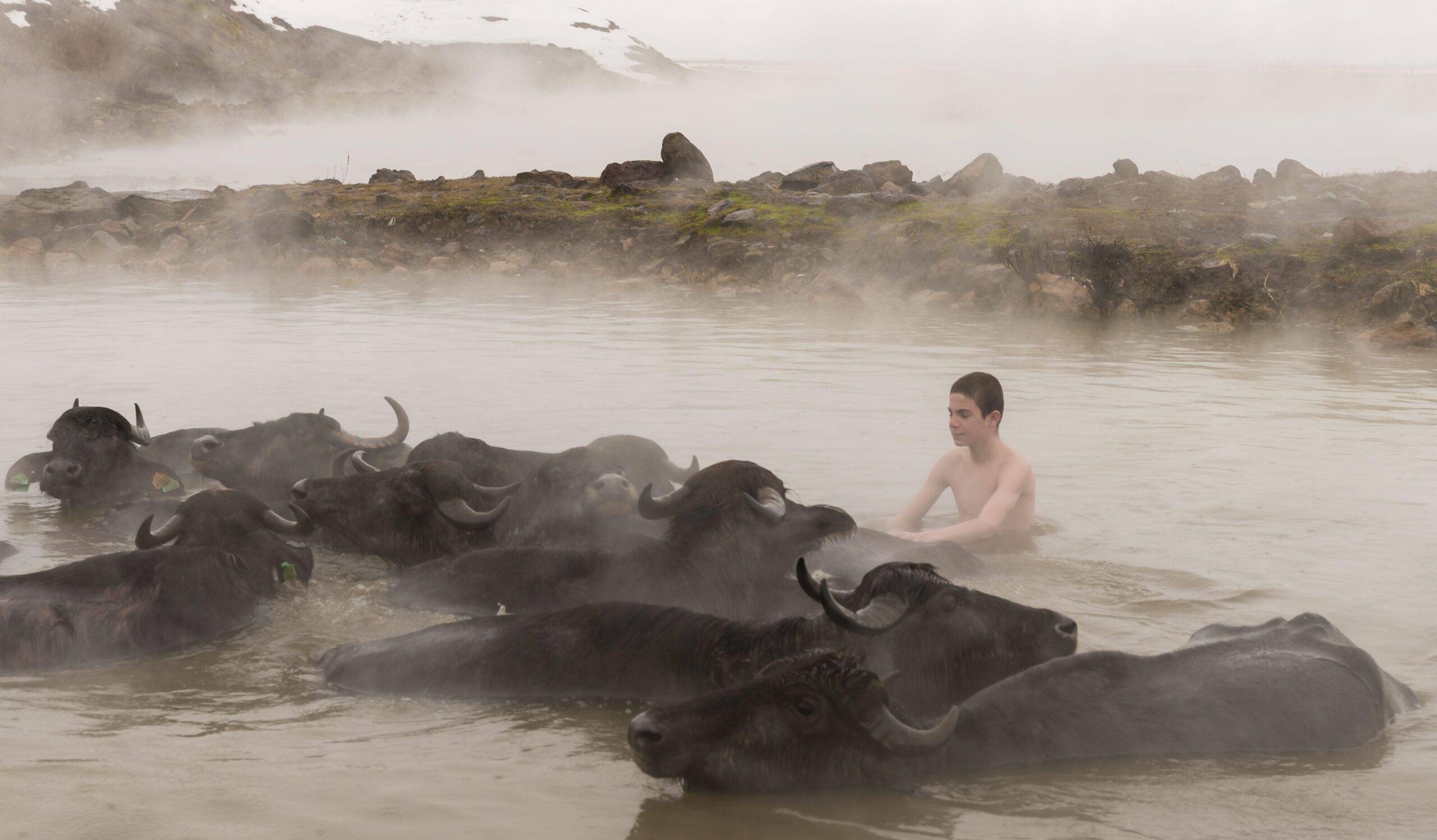 A boy shares a hot spring with cows in Guroymak, Bitlis, Turkey. The World Bank has recognised Turkey’s geothermal potential with $600m of grants and loans