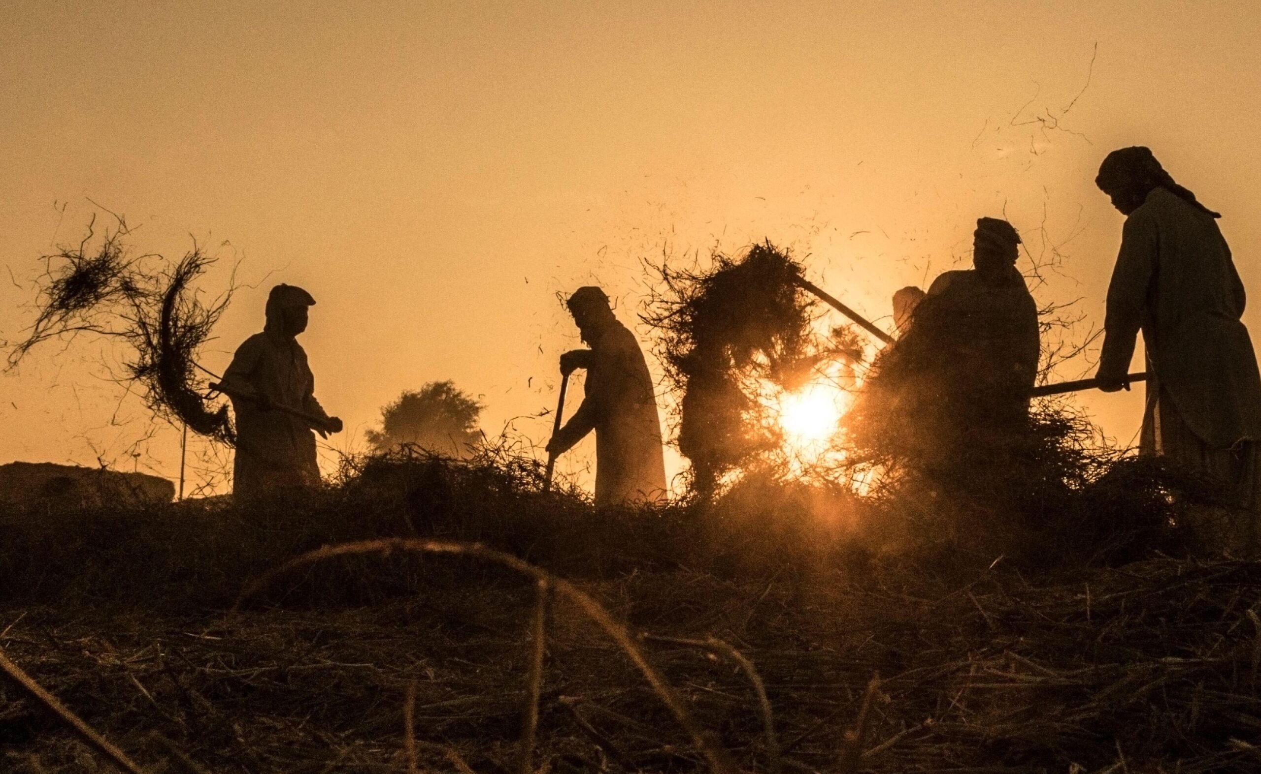 Workers stacking hay on a farm in Al Ain, Abu Dhabi. Agriculture contributed AED3.5 billion to the UAE's GDP in 2023