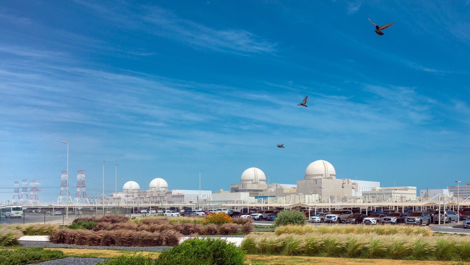UAE nuclear energy plant