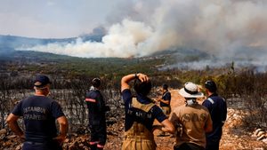 Firefighters from Istanbul municipality and volunteers plan how to extinguish a wildfire near Ikizce, a village in Turkey