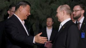 The presidents of China and Russia, Xi Jinping and Vladimir Putin, held talks in Beijing last week